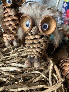 Pinecone owl