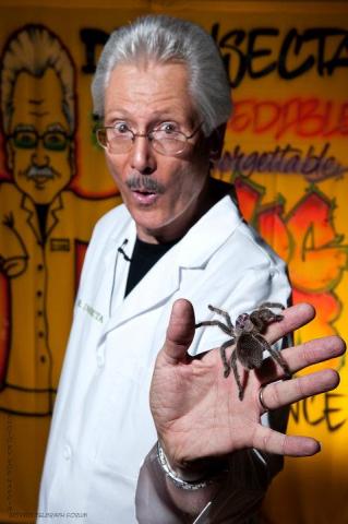 Dr Insecta