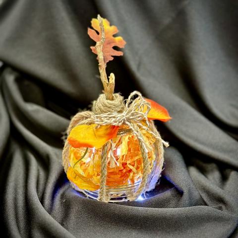 Actual picture of craft