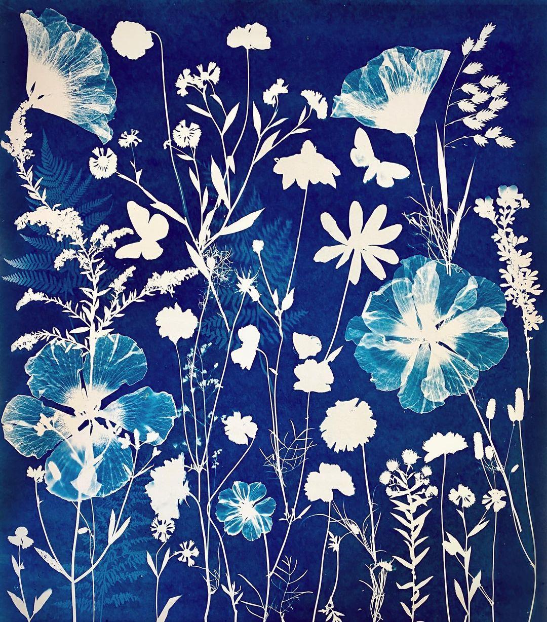 Cyanotype print